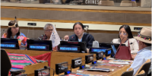 Estudiante del programa de Sociolog&iacute;a particip&oacute; en el Foro Permanente de las Naciones Unidas para las Cuestiones Ind&iacute;genas