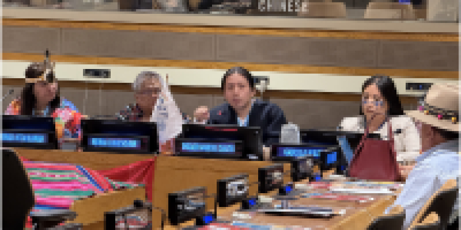 Estudiante del programa de Sociolog&iacute;a particip&oacute; en el Foro Permanente de las Naciones Unidas para las Cuestiones Ind&iacute;genas