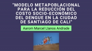 Sustentaci&oacute;n de trabajo de investigaci&oacute;n de la Maestr&iacute;a en Econom&iacute;a Aplicada