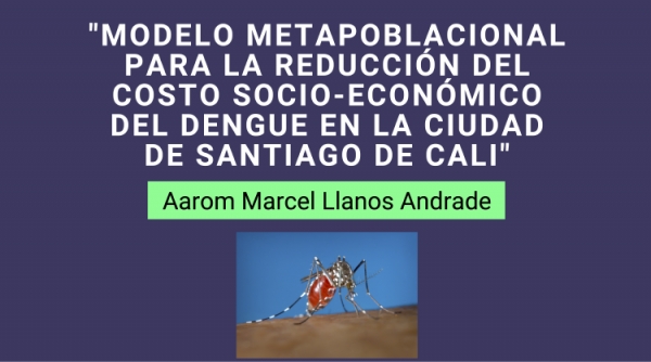 Sustentaci&oacute;n de trabajo de investigaci&oacute;n de la Maestr&iacute;a en Econom&iacute;a Aplicada